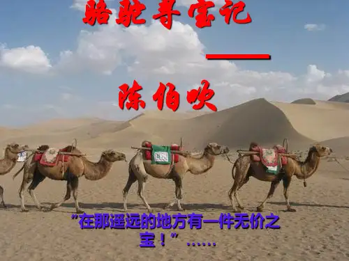 新七年级语文PPT 骆驼寻宝记课件