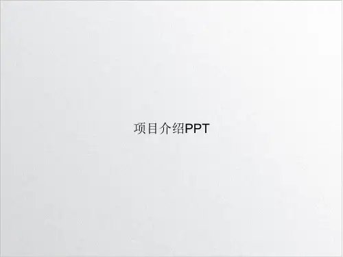 项目介绍PPT课件