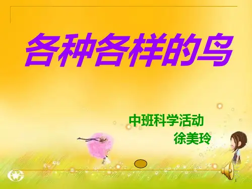 中班科学活动：各种各样的鸟ppt课件
