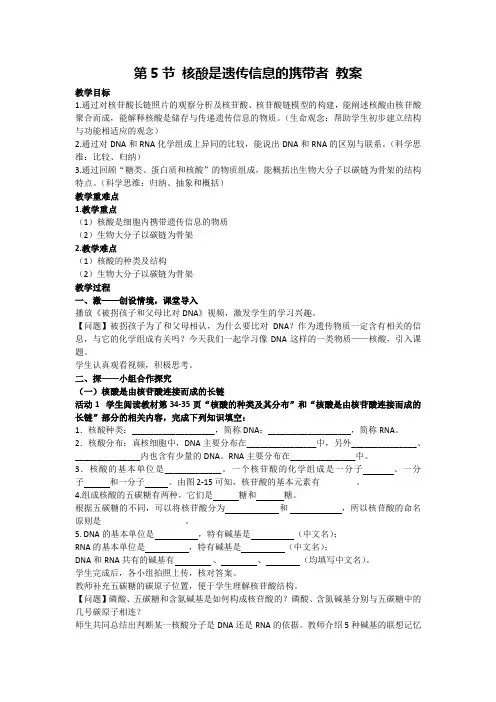 2.5 核酸是遗传信息的携带者(教案)-2024-2025学年高一上学期生物人教版必修一