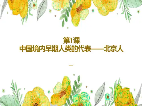 第1课  中国早期人类的代表——北京人