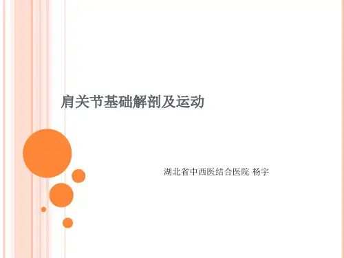 肩关节解剖及运动