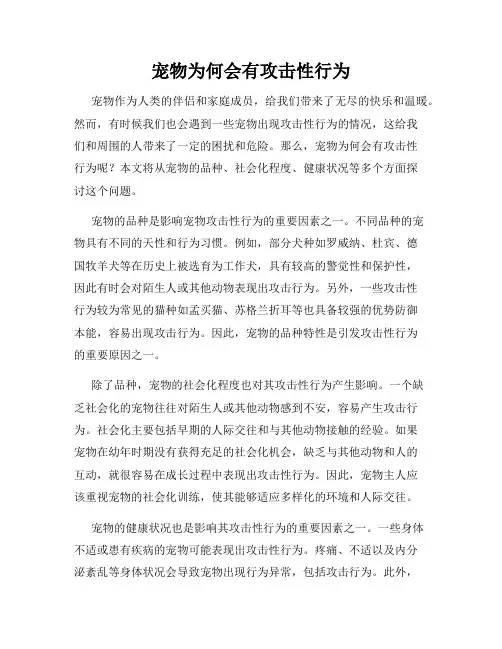 宠物为何会有攻击性行为