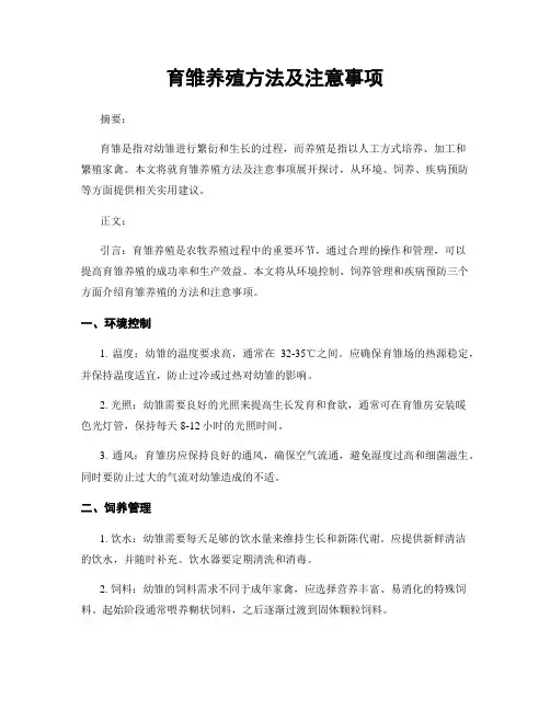 育雏养殖方法及注意事项