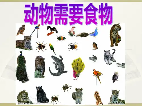 动物需要食物