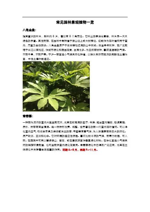 常见园林景观植物一览