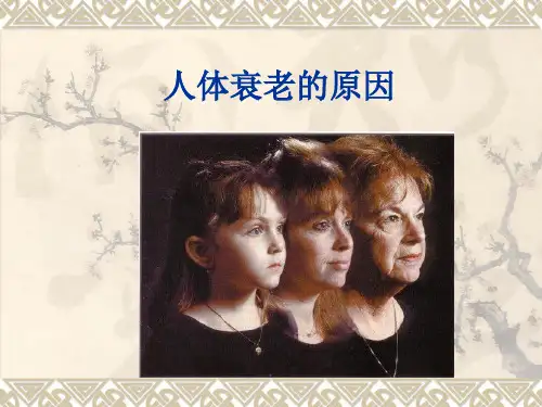 人体衰老的原因概述