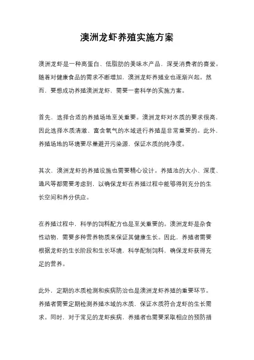澳洲龙虾养殖实施方案