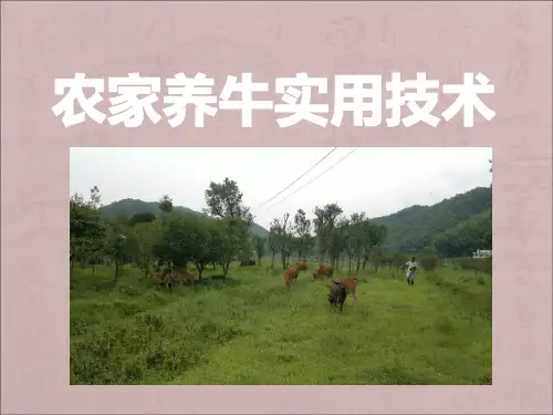 农家养牛实用技术