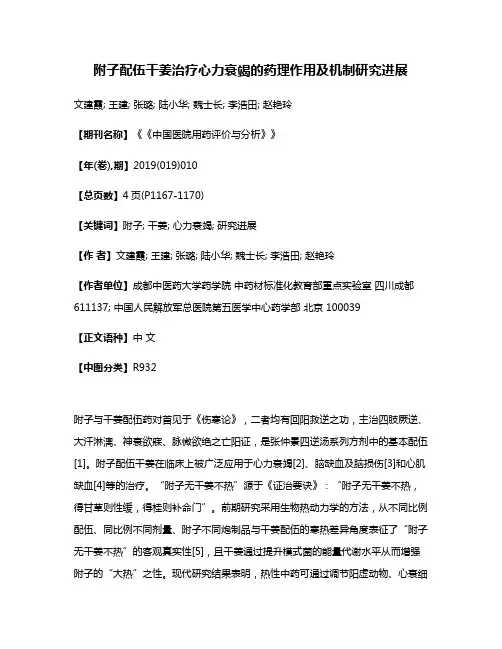 附子配伍干姜治疗心力衰竭的药理作用及机制研究进展