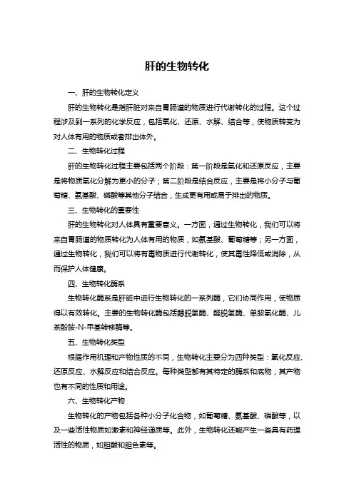 肝的生物转化