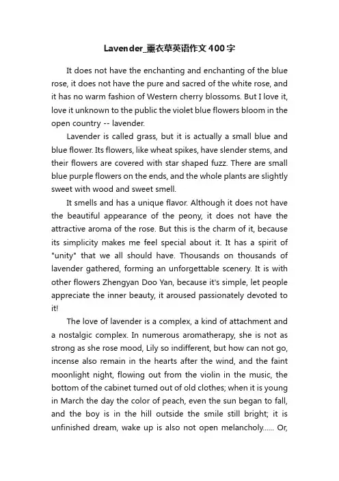 Lavender_薰衣草英语作文400字