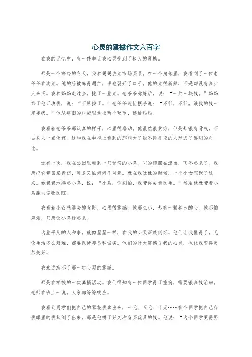 心灵的震撼作文六百字