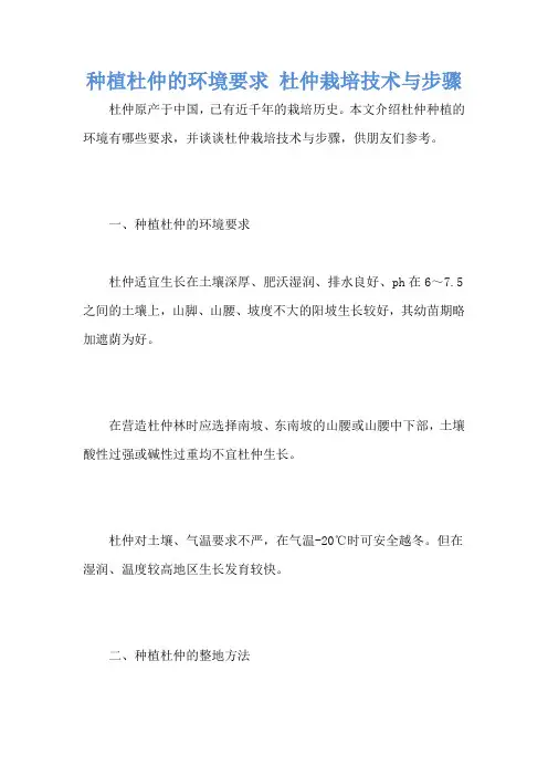 种植杜仲的环境要求 杜仲栽培技术与步骤