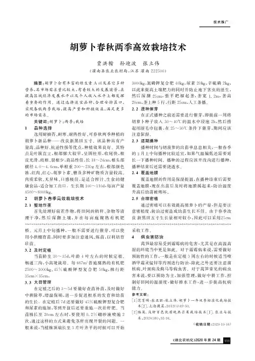 胡萝卜春秋两季高效栽培技术