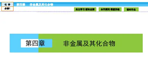 高中化学(人教版)必修1课件：第四章 非金属及其化合物 4.1