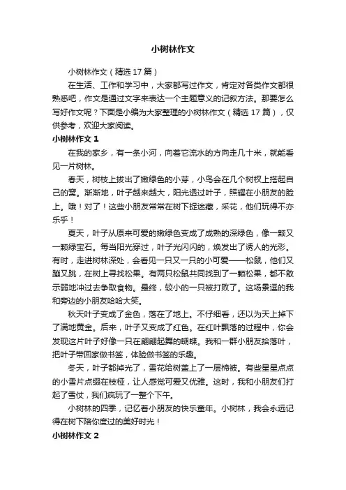 小树林作文（精选17篇）