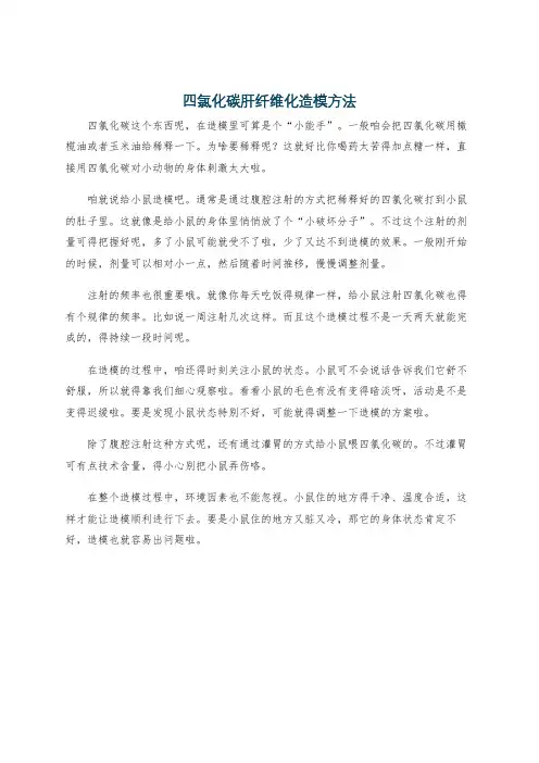 四氯化碳肝纤维化造模方法