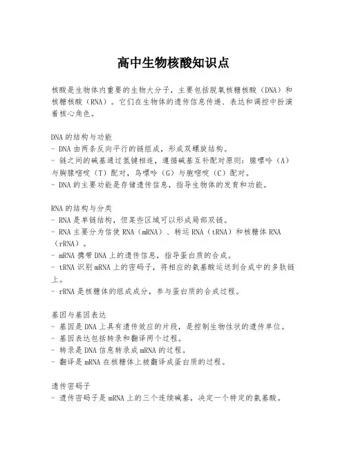 高中生物核酸知识点