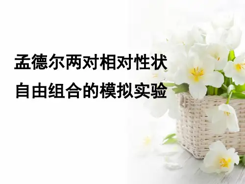 两对相对性状自由组合的模拟实验