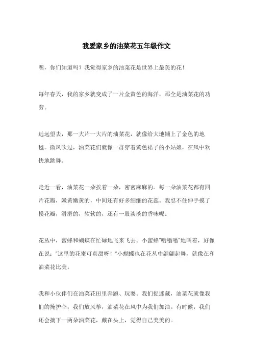 我爱家乡的油菜花五年级作文