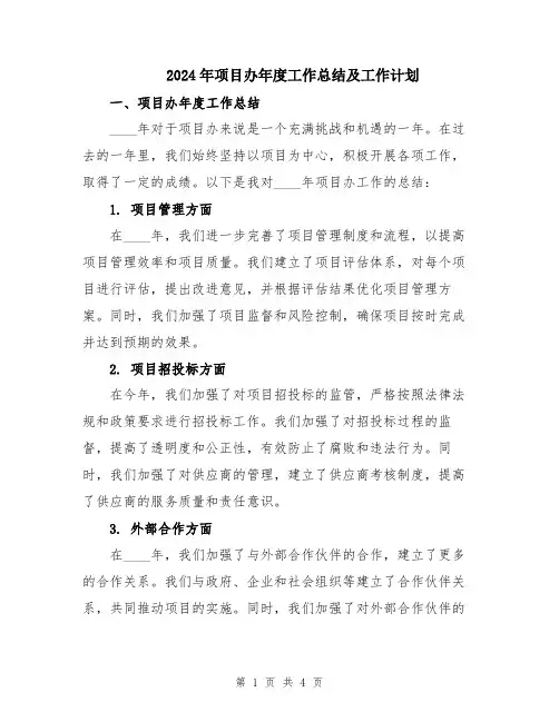 2024年项目办年度工作总结及工作计划