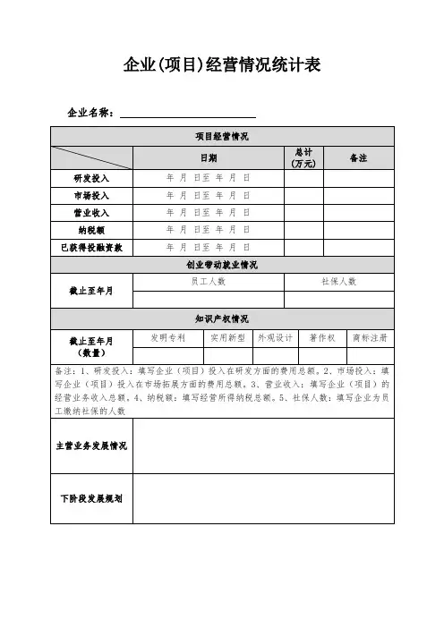 企业及项目经营情况统计表
