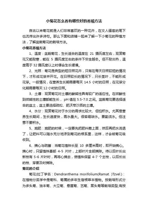 小菊花怎么养有哪些好的养殖方法
