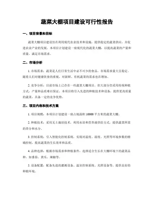 蔬菜大棚项目建设可行性报告