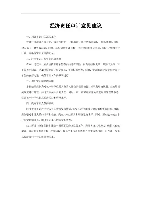 经济责任审计意见建议