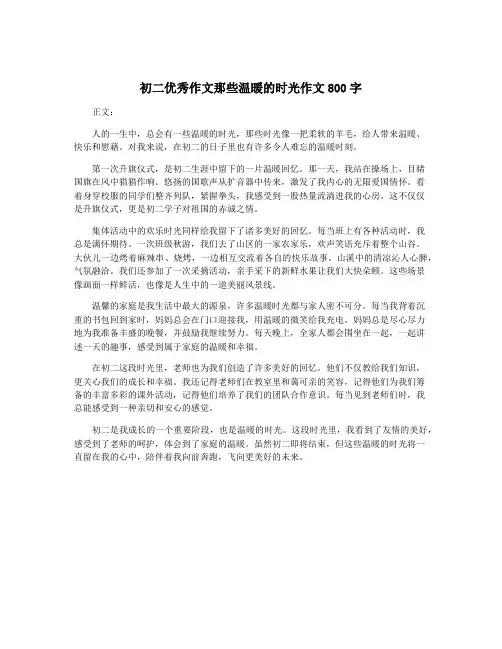初二优秀作文那些温暖的时光作文800字