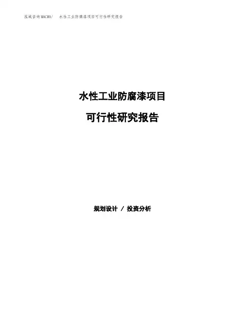 2020年水性工业防腐漆项目可行性研究报告