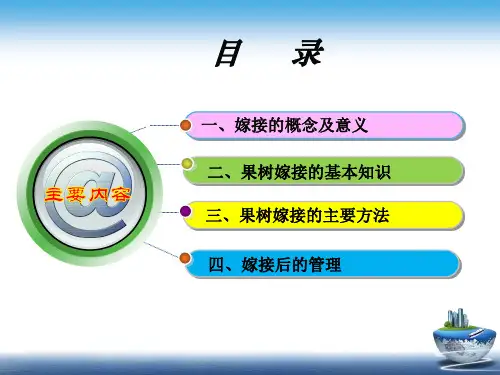 果树嫁接技术ppt课件