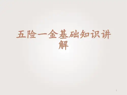 五险一金基础知识讲解 ppt课件