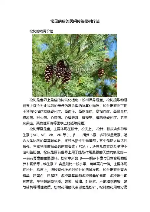 常见病症的民间传统松树疗法