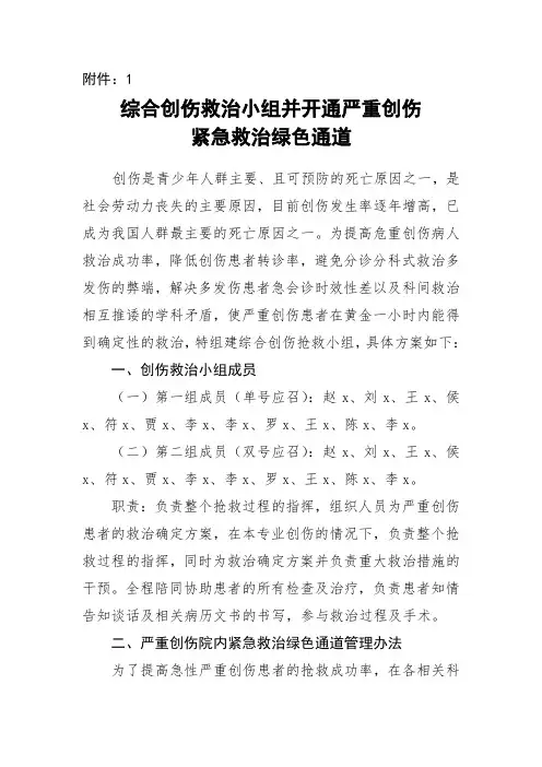 关于成立综合创伤救治小组实施方案