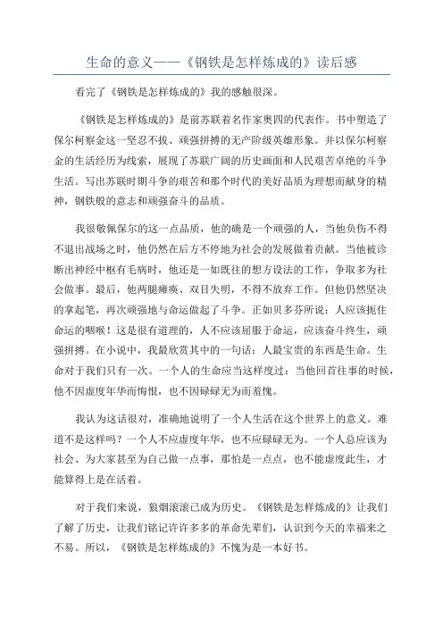 生命的意义——《钢铁是怎样炼成的》读后感