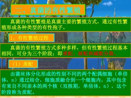 第三章 真核微生物(2)