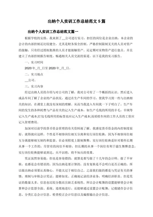 出纳个人实训工作总结范文5篇