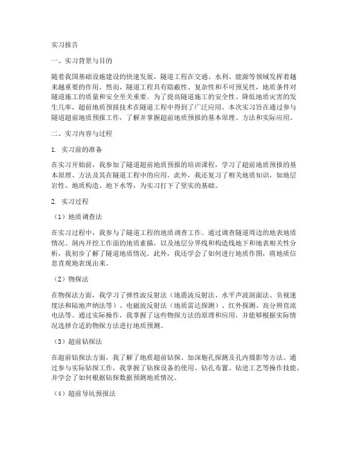 隧道超前地质预报实习报告