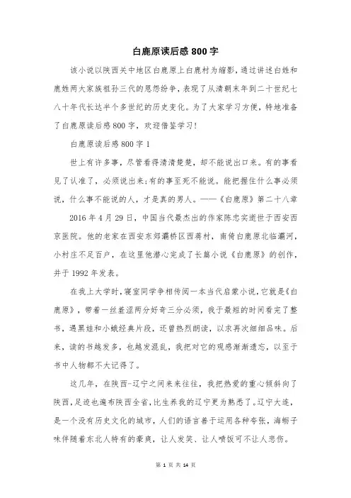 白鹿原读后感800字
