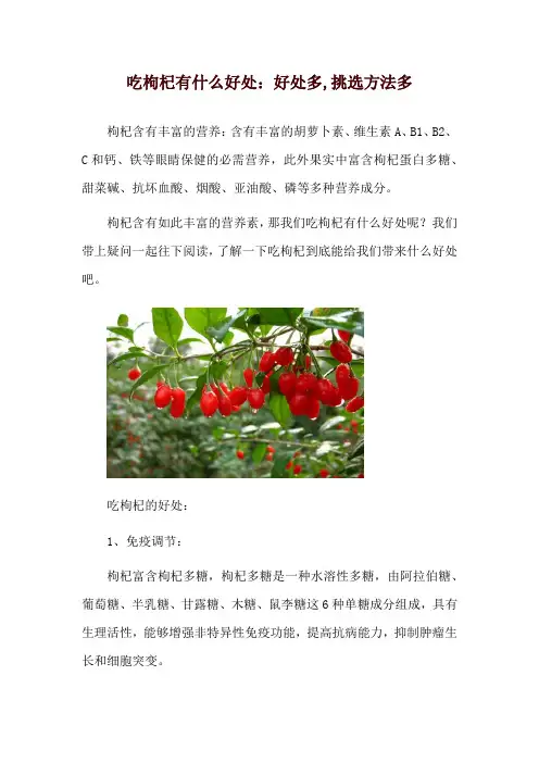 吃枸杞有什么好处：好处多,挑选方法多