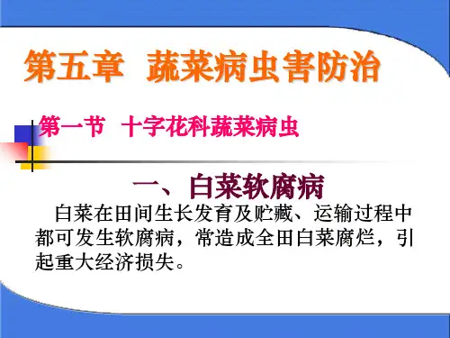 第五章 十字花科蔬菜病虫害5