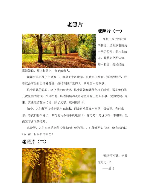 老照片(共10篇)