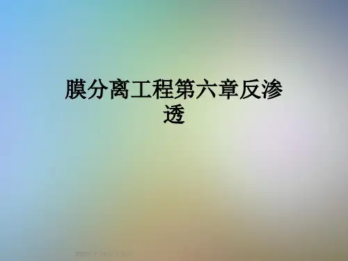膜分离工程第六章反渗透