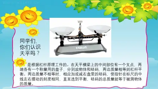 五年级数学上册课件-5.2.1方程的意义人教版共17张PPT