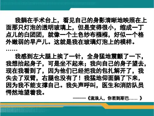 选修课——海因利希·伯尔