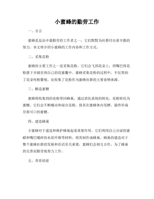 小蜜蜂的勤劳工作