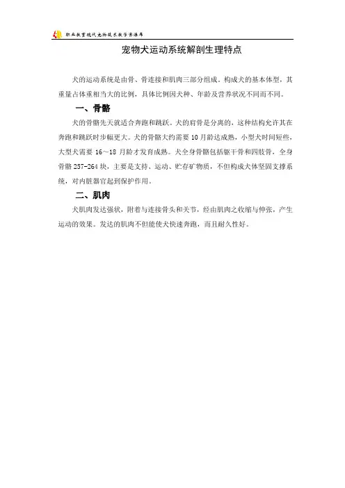 宠物犬运动系统解剖生理特点.