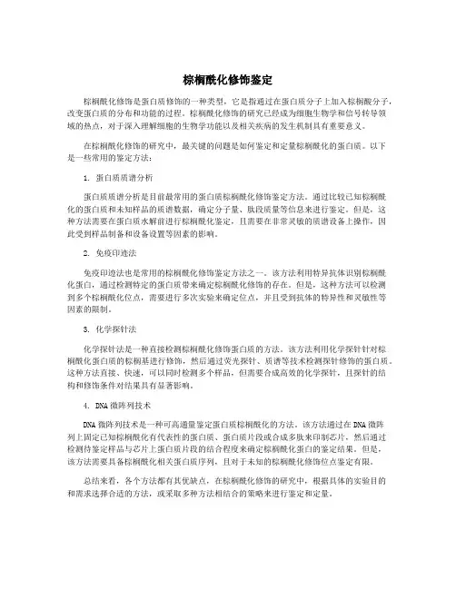 棕榈酰化修饰鉴定